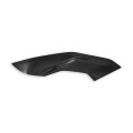 DBK Special Parts (Ducabike) Twill Carbon Fiber Side Panels for BMW S1000R / M1000R (2021+)